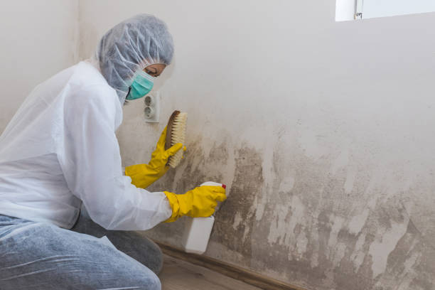 Mold Remediation for Historic Buildings